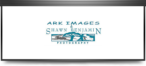 Shawn Benjamin Photography & Ark Images Shawn Benjamin Photography & Ark Images