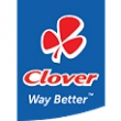 Clover Clover